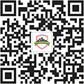 Follow the WeChat public account for more information.